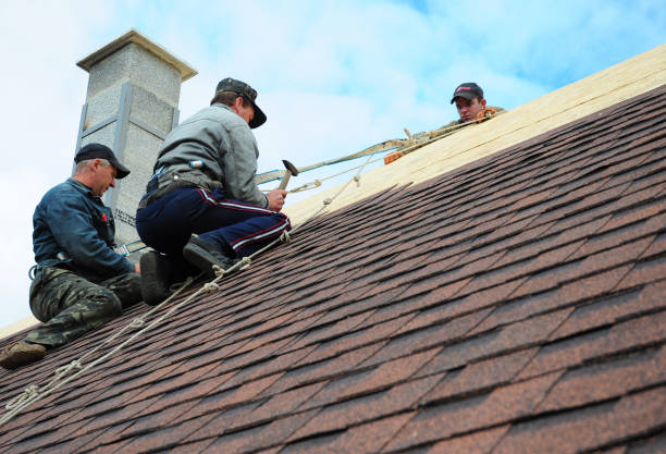Best Best Roofing Contractors  in Gruetli Laager, TN